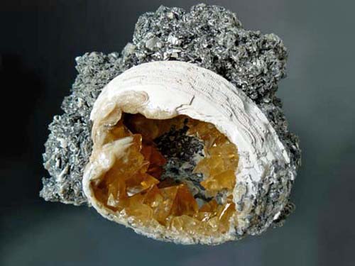 calcietkristallen in fossiele schelp, Fort Drum, Florida (USA)