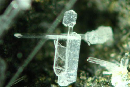 Georgiadesiet op Paralaurioniet, beeldbreedte: 2,3 mm